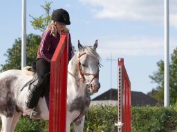 IMG_0608_web